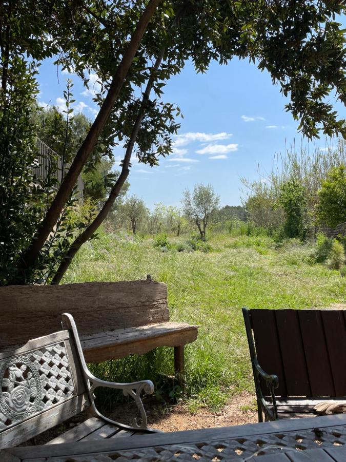 Casa Rural Con Jardin,A 8Km Playa Y En La Naturaleza Taronja&Canyella Ardenya Eksteriør billede