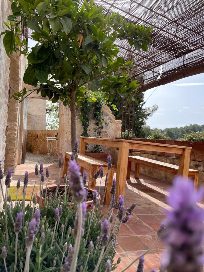 Casa Rural Con Jardin,A 8Km Playa Y En La Naturaleza Taronja&Canyella Ardenya Eksteriør billede