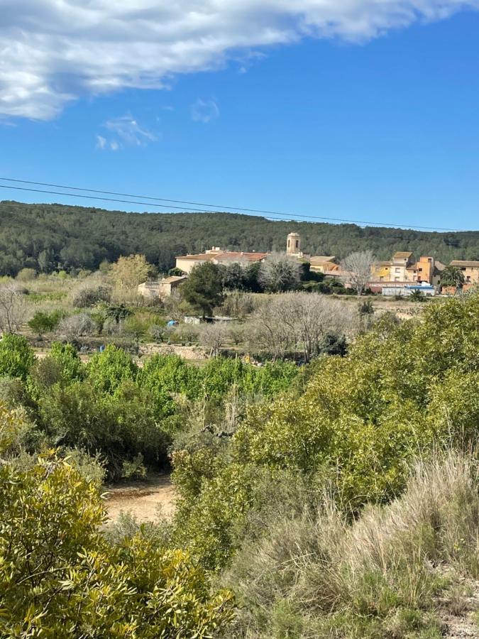 Casa Rural Con Jardin,A 8Km Playa Y En La Naturaleza Taronja&Canyella Ardenya Eksteriør billede