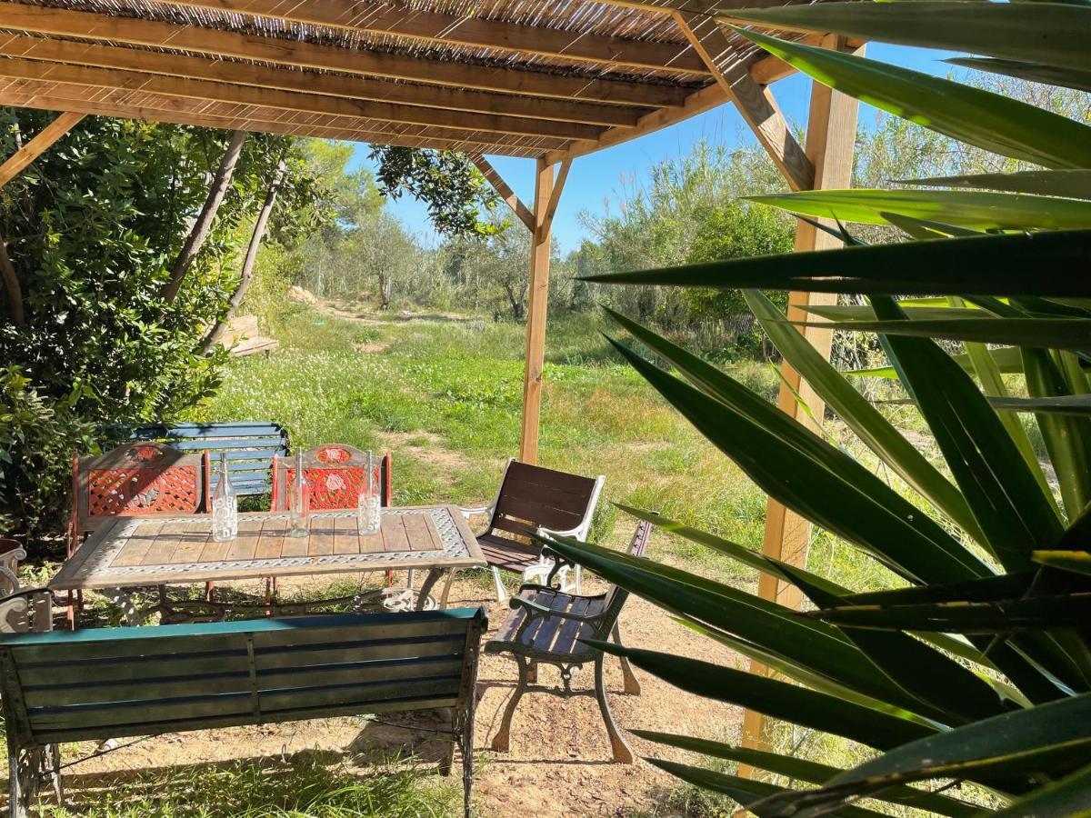 Casa Rural Con Jardin,A 8Km Playa Y En La Naturaleza Taronja&Canyella Ardenya Eksteriør billede