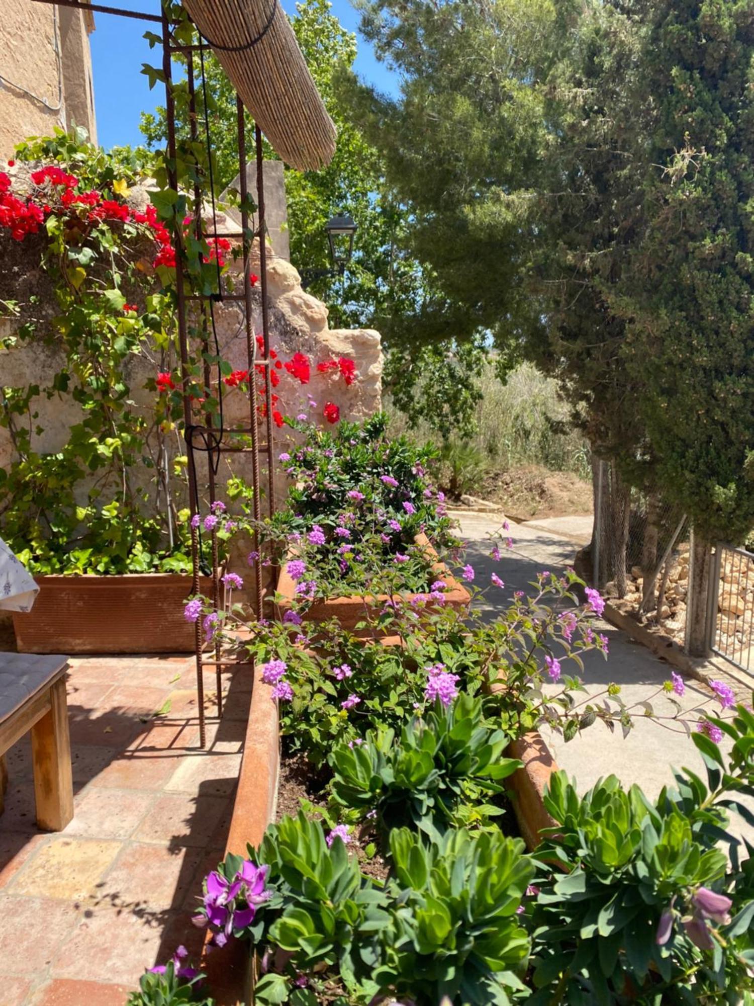 Casa Rural Con Jardin,A 8Km Playa Y En La Naturaleza Taronja&Canyella Ardenya Eksteriør billede